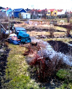 Min lilla lott
