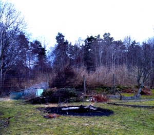 Grenar och skräp har redan samlats in till vårbrasan